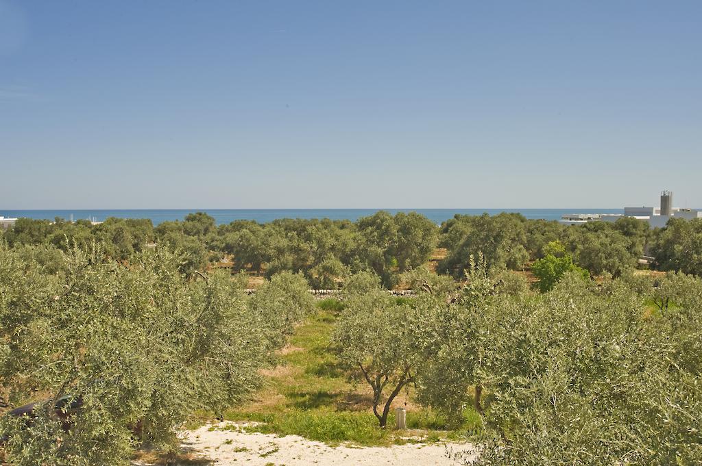 מונופולי Masseria Spina Resort חדר תמונה