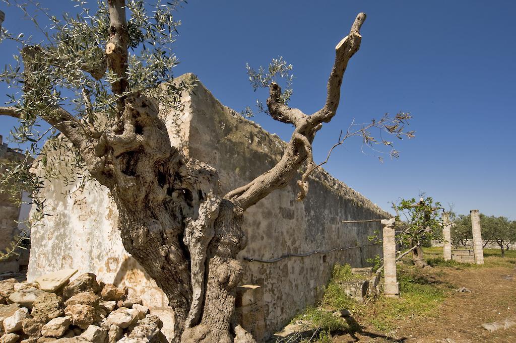 מונופולי Masseria Spina Resort חדר תמונה